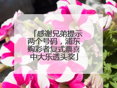 感谢兄弟提示两个号码，浦东购彩者复式票喜中大乐透头奖