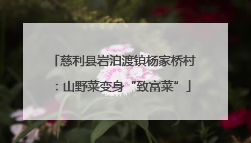慈利县岩泊渡镇杨家桥村：山野菜变身“致富菜”
