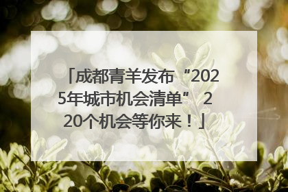 成都青羊发布“2025年城市机会清单” 220个机会等你来！