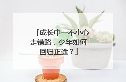 成长中一不小心走错路，少年如何回归正途？
