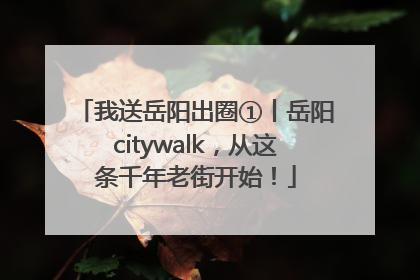 我送岳阳出圈①丨岳阳citywalk，从这条千年老街开始！