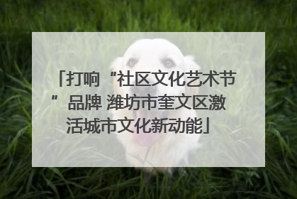 打响“社区文化艺术节”品牌 潍坊市奎文区激活城市文化新动能