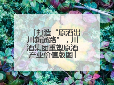 打造“原酒出川新通路”，川酒集团重塑原酒产业价值版图
