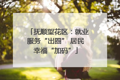 抚顺望花区：就业服务“出圈” 居民幸福“加码”