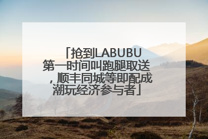 抢到LABUBU第一时间叫跑腿取送，顺丰同城等即配成潮玩经济参与者