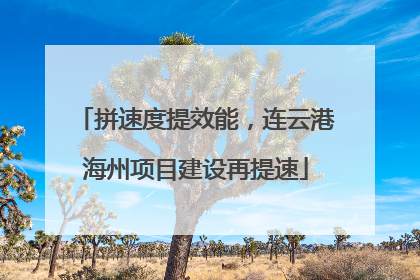 拼速度提效能，连云港海州项目建设再提速