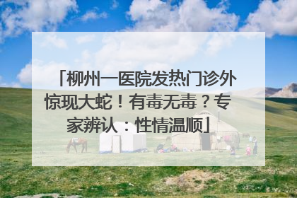 柳州一医院发热门诊外惊现大蛇！有毒无毒？专家辨认：性情温顺