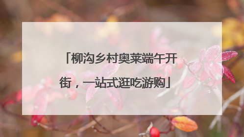 柳沟乡村奥莱端午开街，一站式逛吃游购