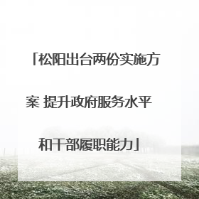 松阳出台两份实施方案 提升政府服务水平和干部履职能力