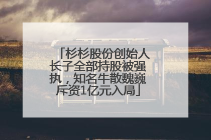 杉杉股份创始人长子全部持股被强执，知名牛散魏巍斥资1亿元入局