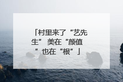 村里来了“艺先生” 美在“颜值”也在“根”