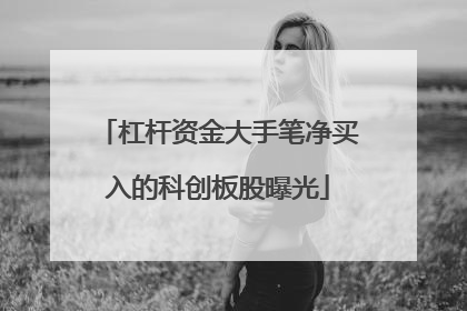 杠杆资金大手笔净买入的科创板股曝光