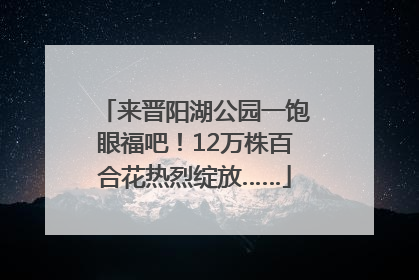 来晋阳湖公园一饱眼福吧！12万株百合花热烈绽放……