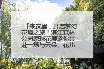 来这里，开启梦幻花境之旅！滨江森林公园绣球花展邀你共赴一场与云朵、花儿的浪漫之约