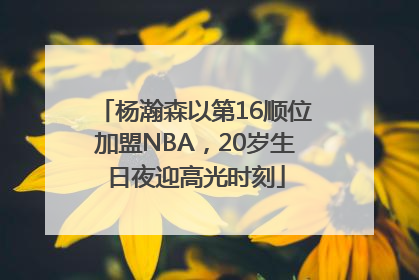 杨瀚森以第16顺位加盟NBA，20岁生日夜迎高光时刻