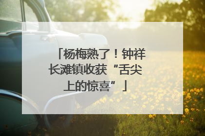 杨梅熟了！钟祥长滩镇收获“舌尖上的惊喜”