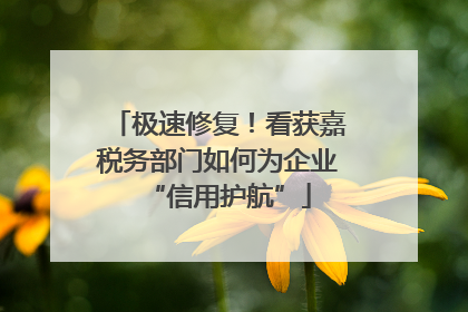 极速修复！看获嘉税务部门如何为企业“信用护航”