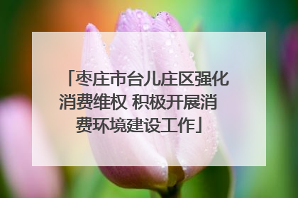 枣庄市台儿庄区强化消费维权 积极开展消费环境建设工作