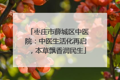 枣庄市薛城区中医院：中医生活化再启，本草飘香润民生