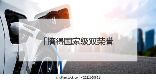 摘得国家级双荣誉！平原县“光伏+”点亮绿色发展路