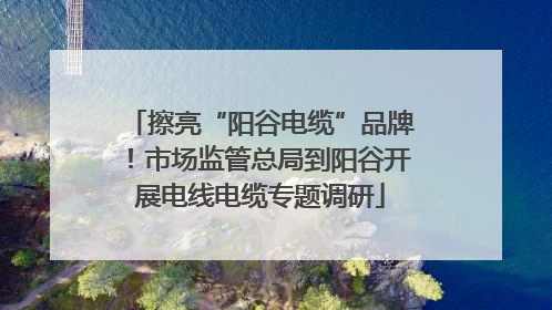 擦亮“阳谷电缆”品牌！市场监管总局到阳谷开展电线电缆专题调研
