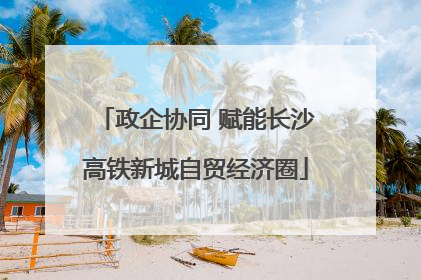 政企协同 赋能长沙高铁新城自贸经济圈