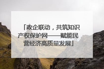政企联动，共筑知识产权保护网——赋能民营经济高质量发展