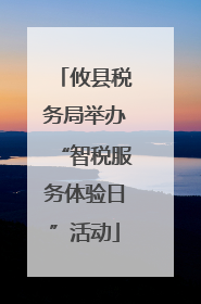 攸县税务局举办“智税服务体验日”活动