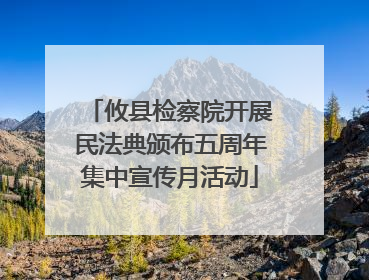 攸县检察院开展民法典颁布五周年集中宣传月活动