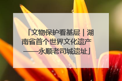 文物保护看基层｜湖南省首个世界文化遗产——永顺老司城遗址