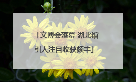 文博会落幕 湖北馆引人注目收获颇丰