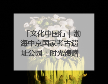 文化中国行｜渤海中京国家考古遗址公园：时光馈赠的宝藏 历史凝固的诗篇