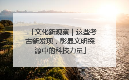 文化新观察｜这些考古新发现，彰显文明探源中的科技力量