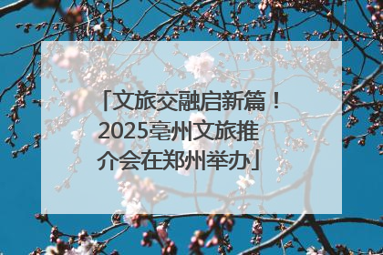 文旅交融启新篇！2025亳州文旅推介会在郑州举办