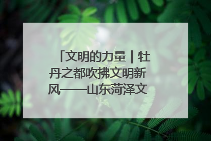 文明的力量｜牡丹之都吹拂文明新风——山东菏泽文明创建一线见闻