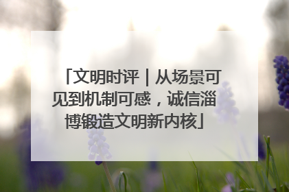 文明时评｜从场景可见到机制可感，诚信淄博锻造文明新内核