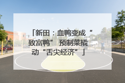 新田：血鸭变成“致富鸭” 预制菜撬动“舌尖经济”