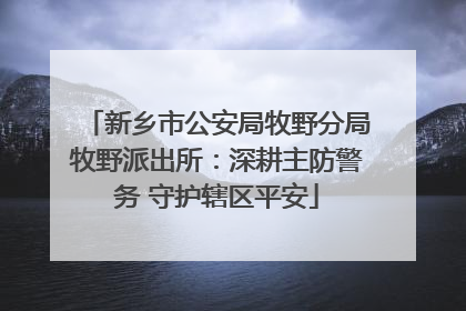 新乡市公安局牧野分局牧野派出所：深耕主防警务 守护辖区平安