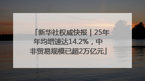 新华社权威快报｜25年年均增速达14.2%，中非贸易规模已超2万亿元