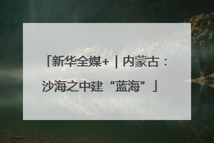新华全媒+｜内蒙古：沙海之中建“蓝海”