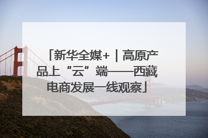 新华全媒+｜高原产品上“云”端——西藏电商发展一线观察