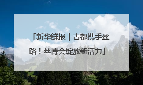 新华鲜报｜古都携手丝路！丝博会绽放新活力