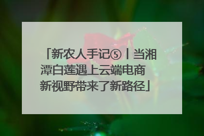 新农人手记⑤丨当湘潭白莲遇上云端电商 新视野带来了新路径