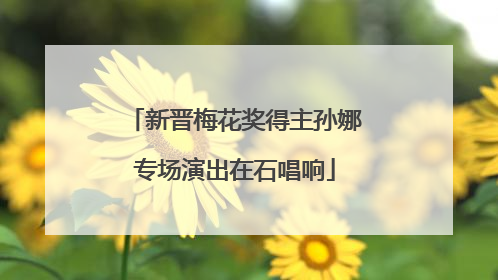 新晋梅花奖得主孙娜专场演出在石唱响