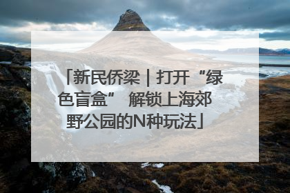 新民侨梁｜打开“绿色盲盒” 解锁上海郊野公园的N种玩法