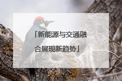 新能源与交通融合展现新趋势