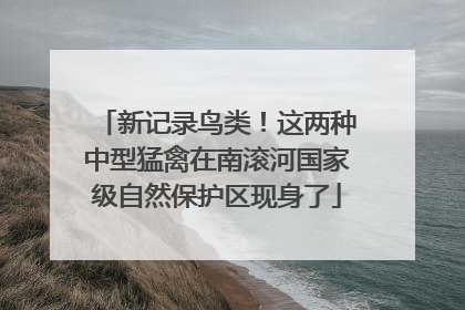 新记录鸟类！这两种中型猛禽在南滚河国家级自然保护区现身了