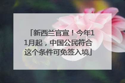 新西兰官宣！今年11月起，中国公民符合这个条件可免签入境