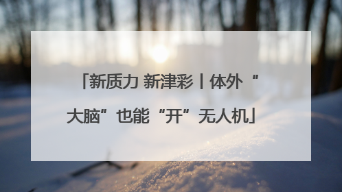 新质力 新津彩丨体外“大脑”也能“开”无人机