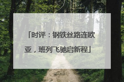 时评：钢铁丝路连欧亚，班列飞驰启新程